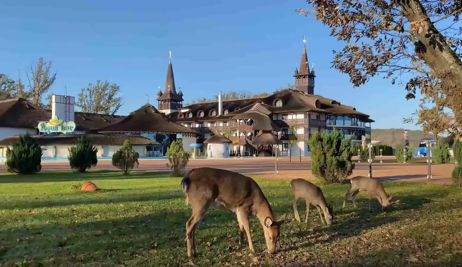 Så enkelt monteras solceller på taket