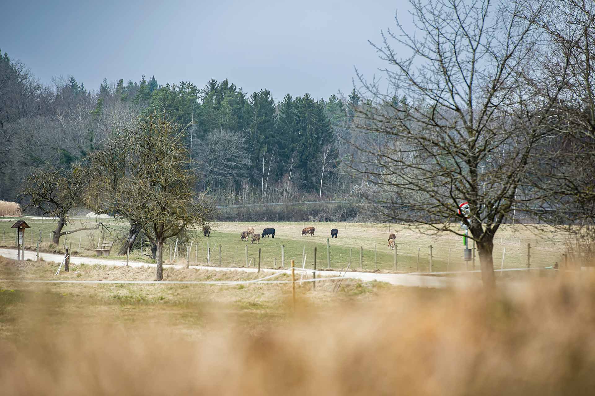 Hotel Kapelle mit Blick ins Grüne