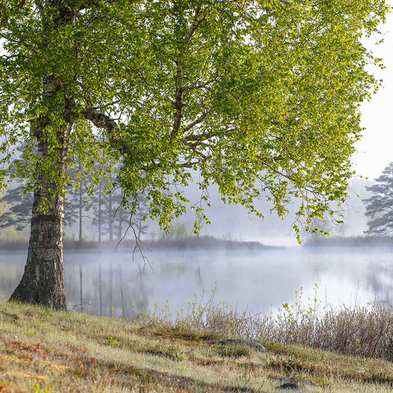 See in Markaryd, Schweden
