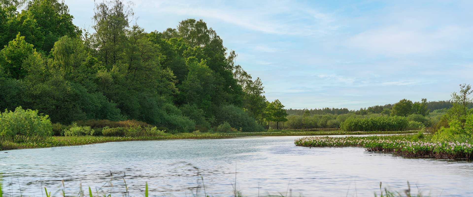 Wald am See in Schweden
