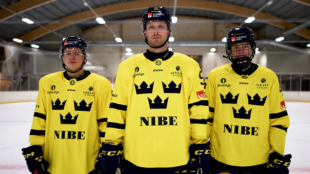 NIBE och Tre kronor
