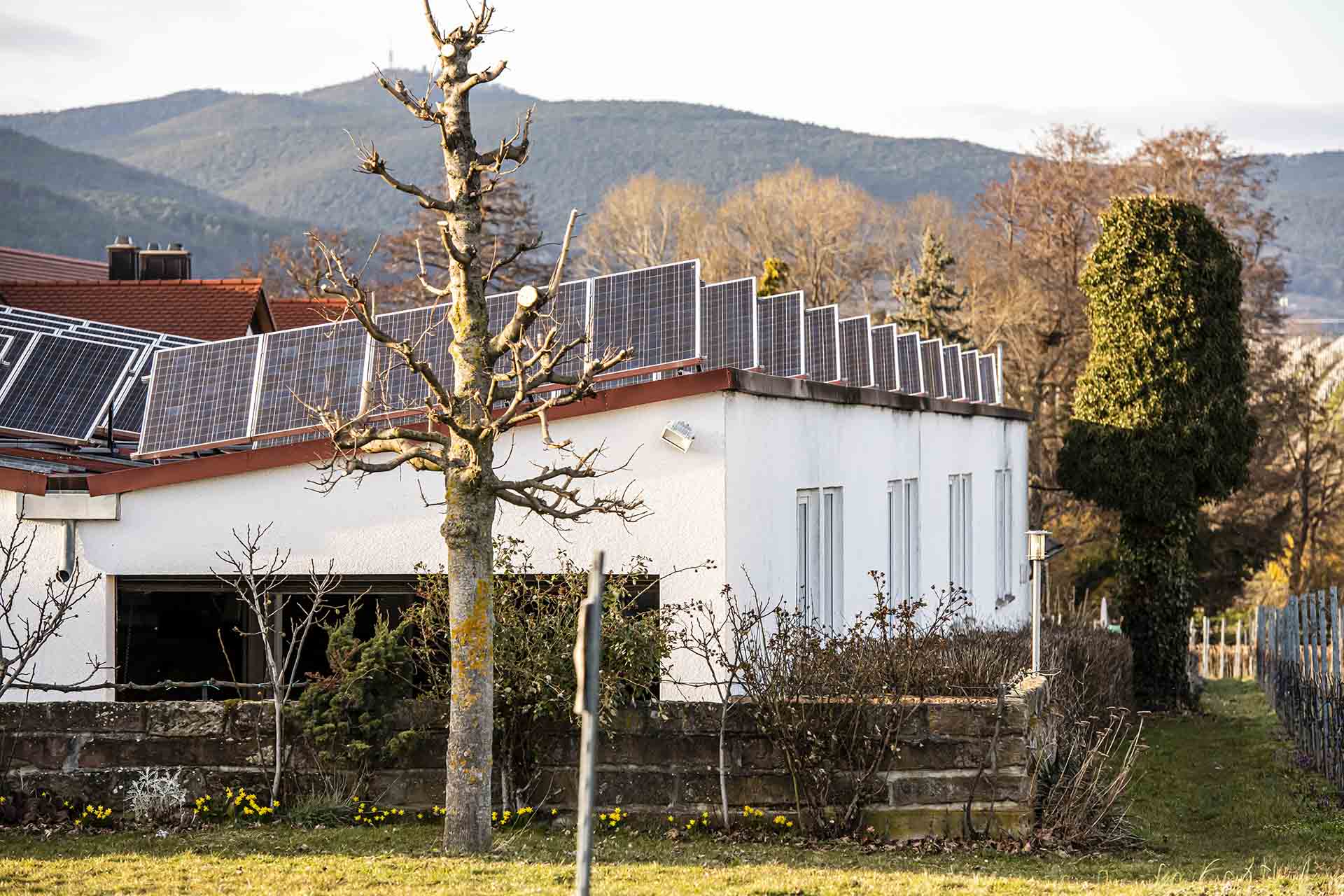 PV-Anlage auf dem Dach vom Weingut Braun