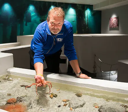 Akvarist Einar Wiik med en kongekrabbe i hånden