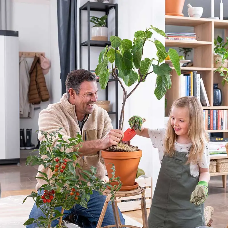 Vater und Tochter topfen Pflanzen um