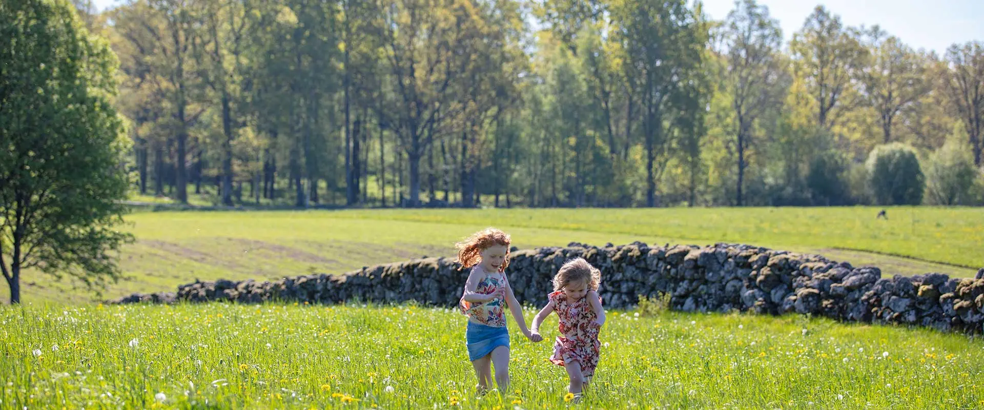 Children in a meadow