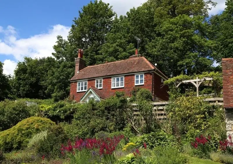 Treetop Cottage