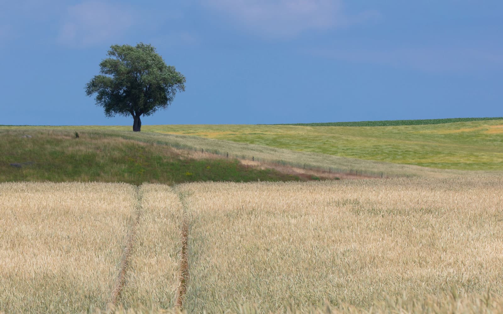 Gresseng