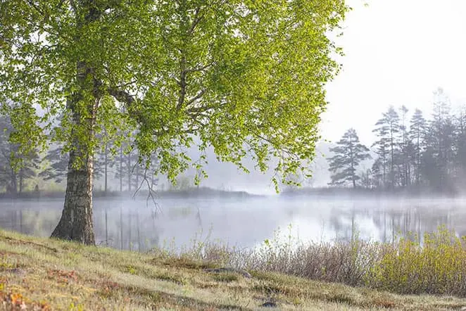 Seenlandschaft in Markaryd, Schweden