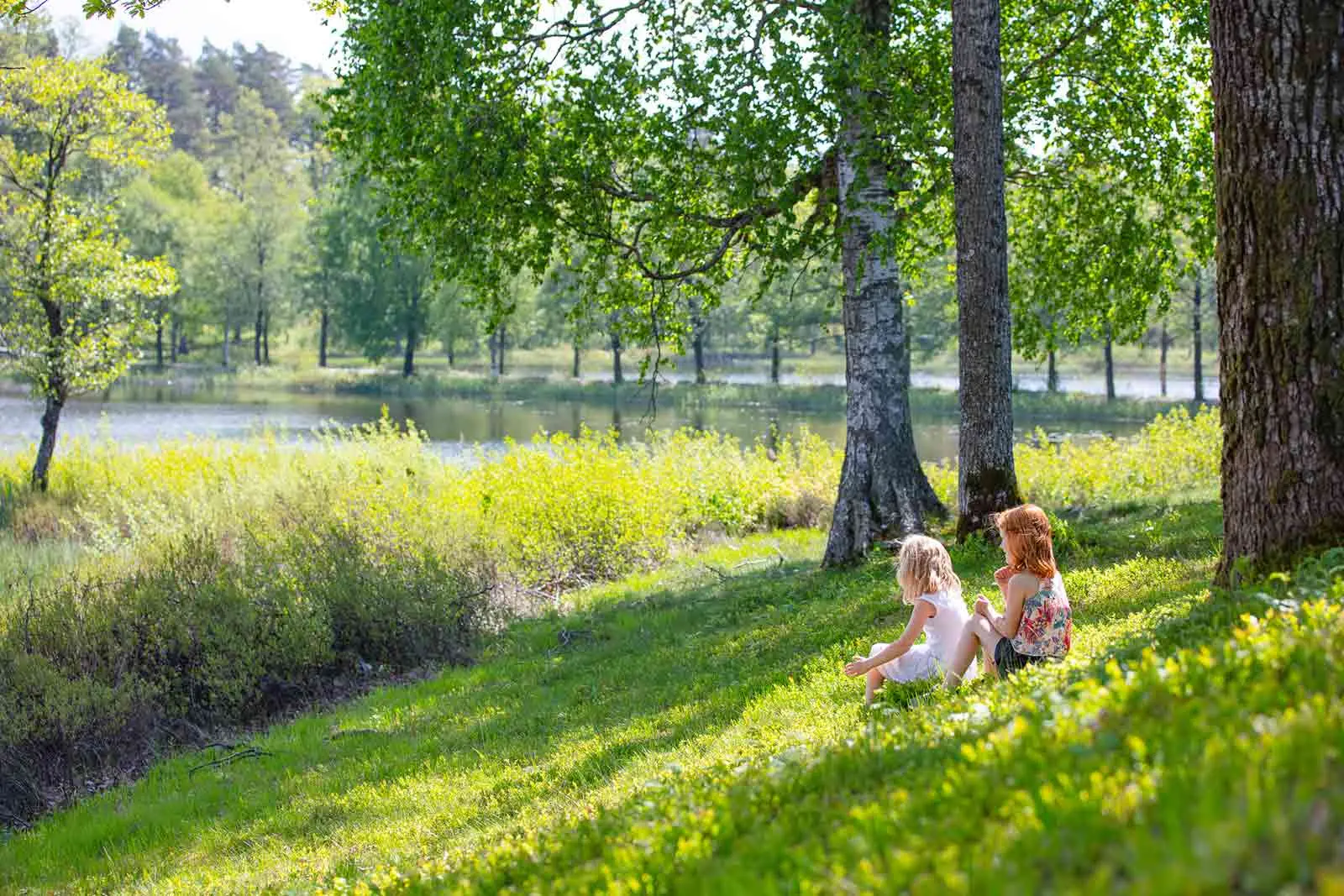 NIBEs arbete med hållbara energilösningar