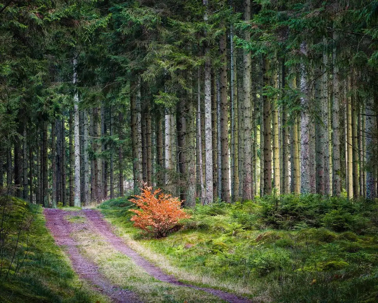 NIBE F730 Exhaust Air Heat Pump NIBE