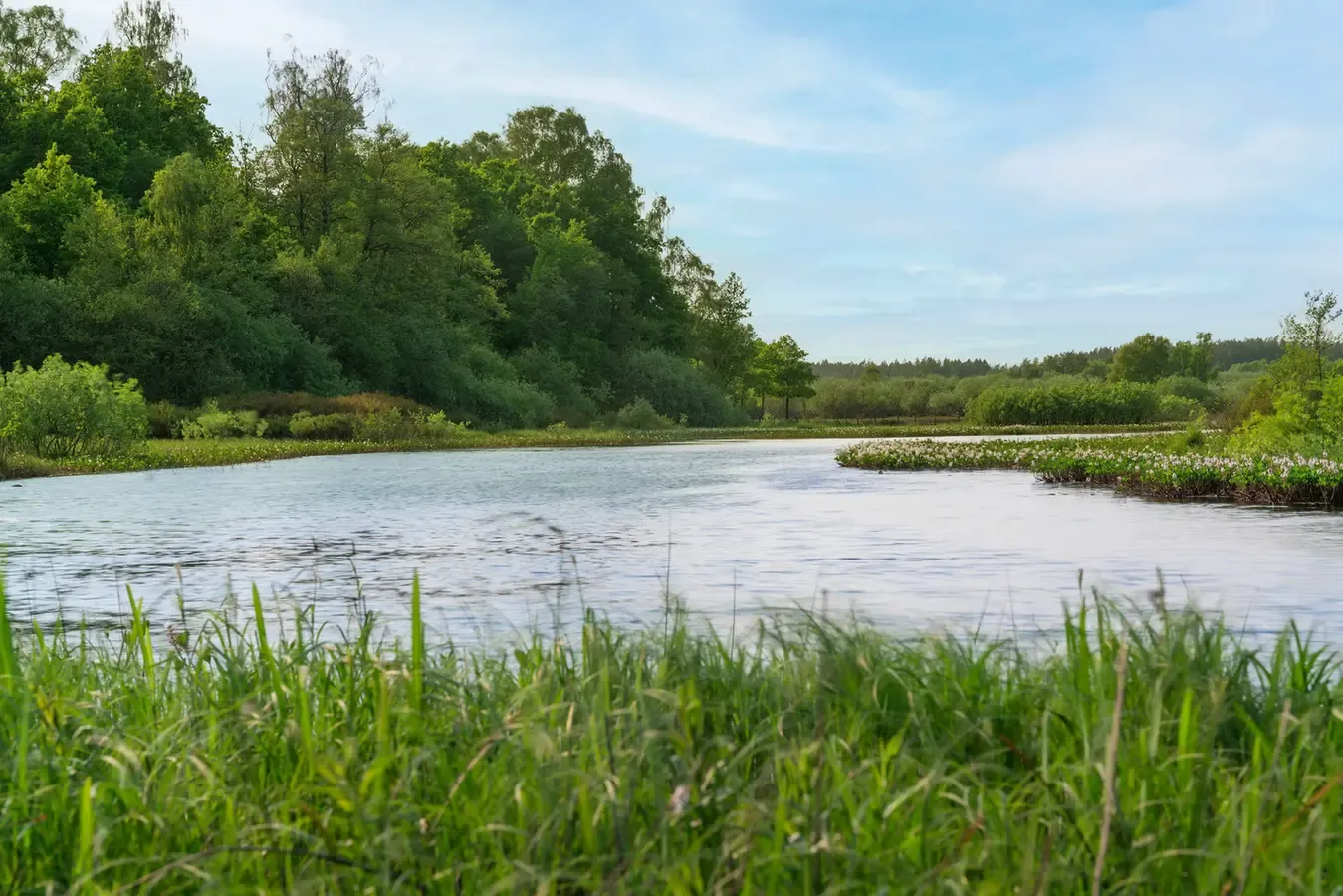 Krajobraz nad rzeką