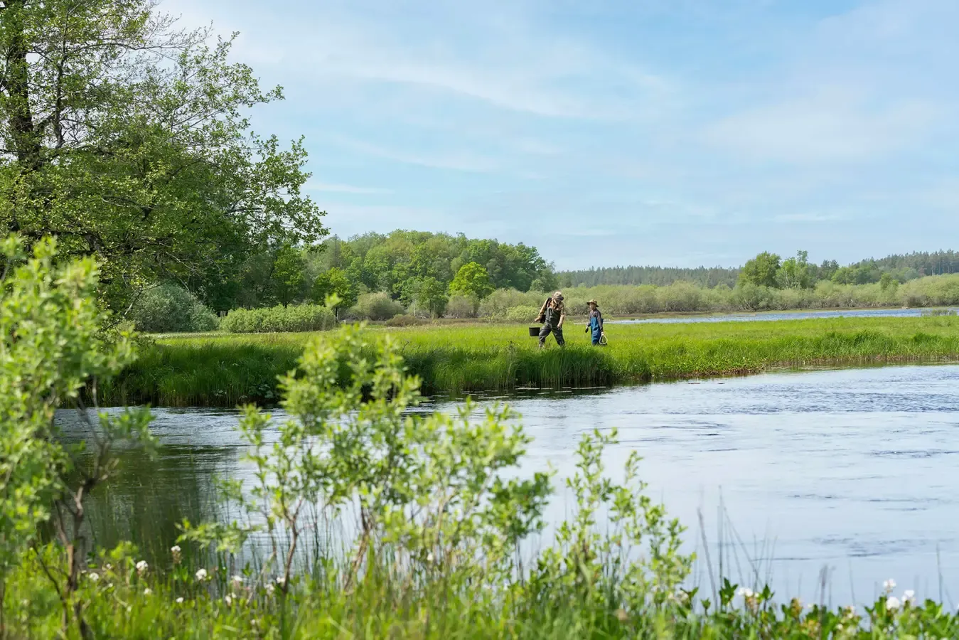 Rodzina nad wodą