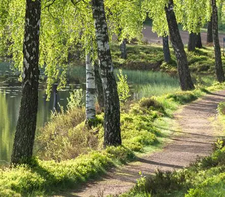 Геотермални термопомпи