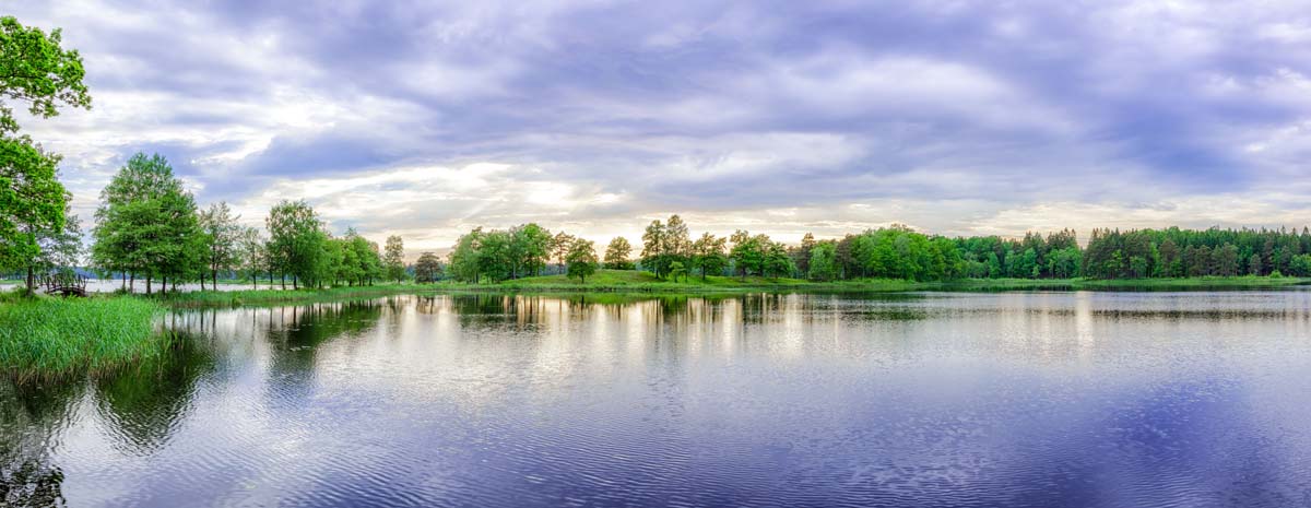 Nature Image