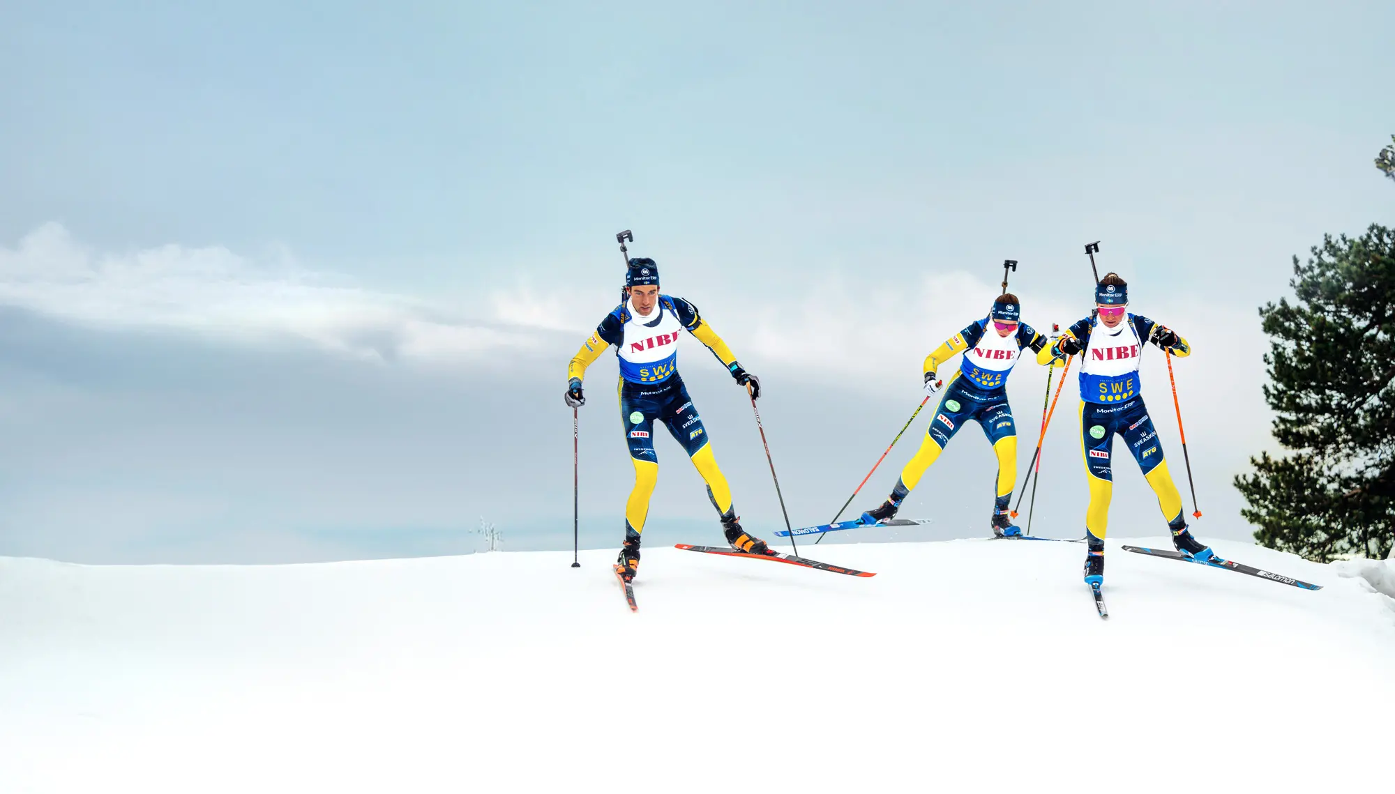 NIBE and IBU partnership