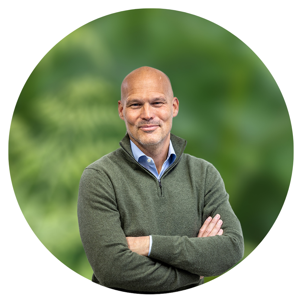 Freddie Ljungberg