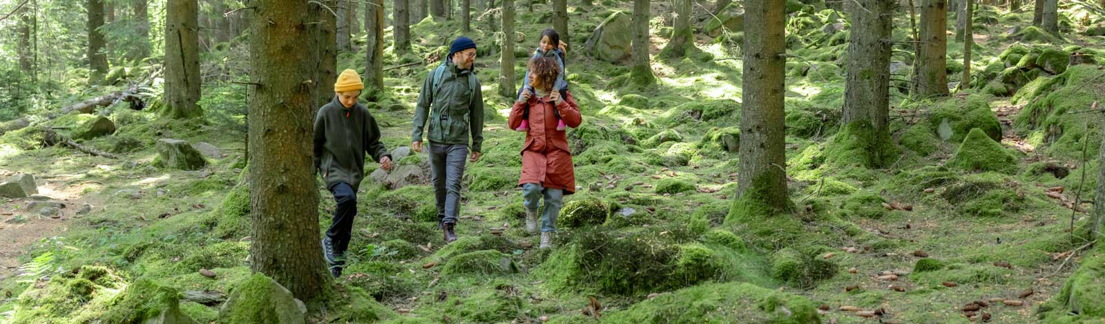 Familie som går tur i skogen