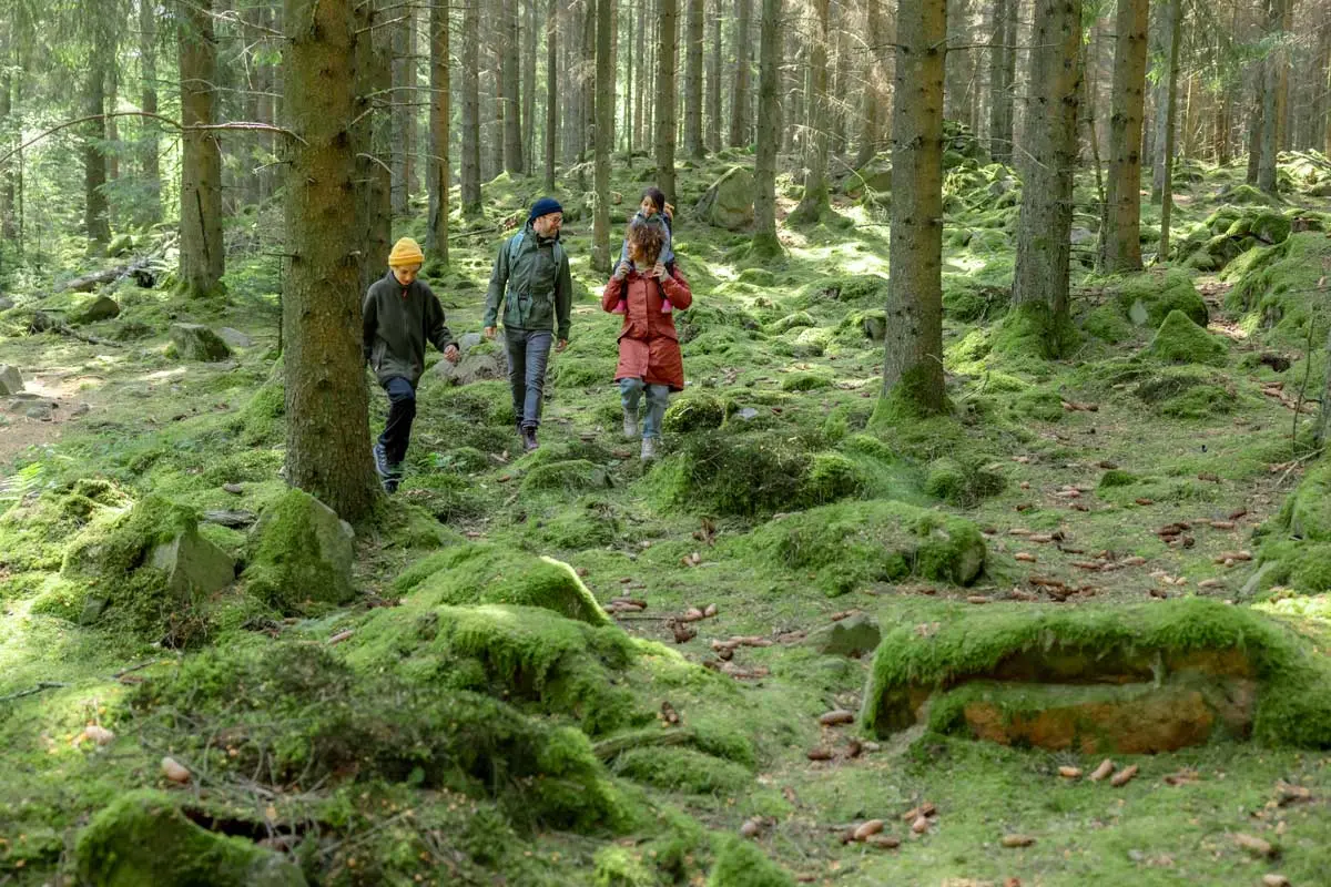 NIBEs arbeid med bærekraftige energiløsninger.Familie i skogen