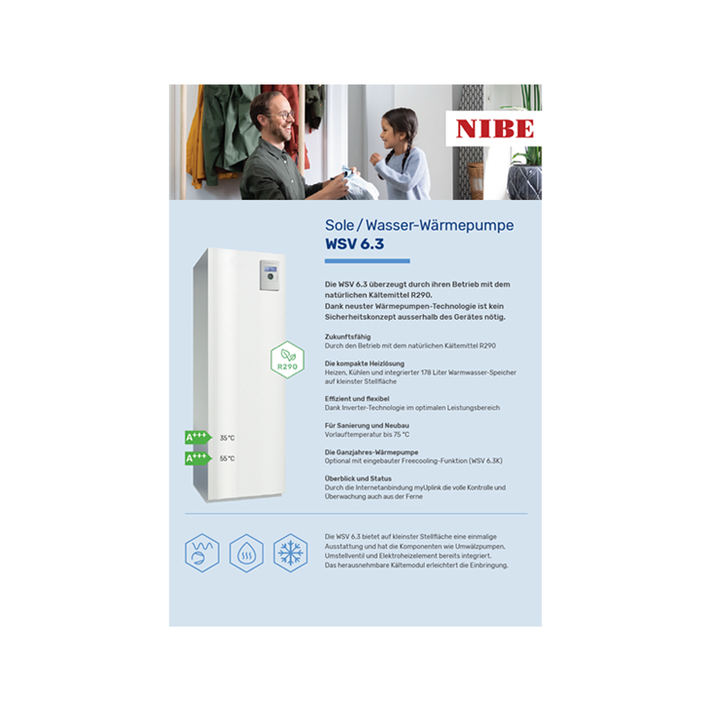 Flyer WSV 6.3 (R290)