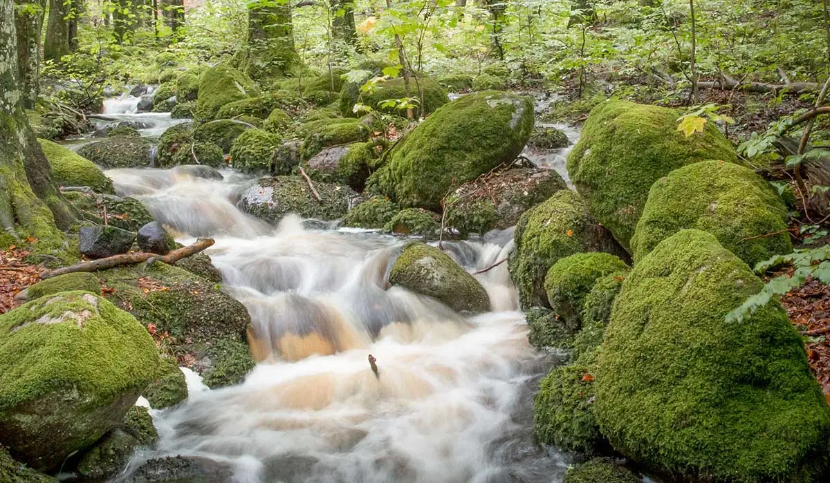 Säästöä lämmityskuluihin vastuullisesti ja kestävästi