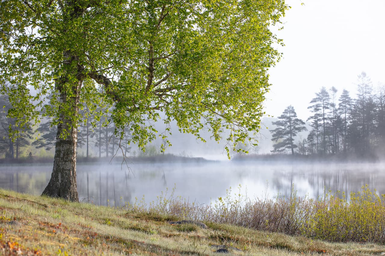 Jezioro we mgle jako źródło dla gruntowej pompy ciepła