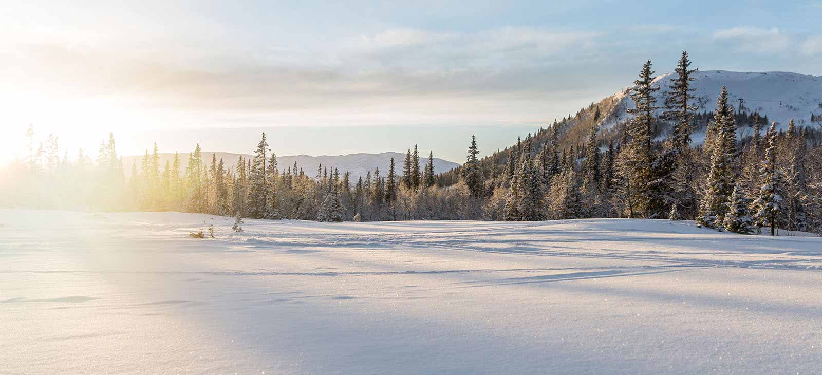 Zimowy krajobraz z siłą z natury