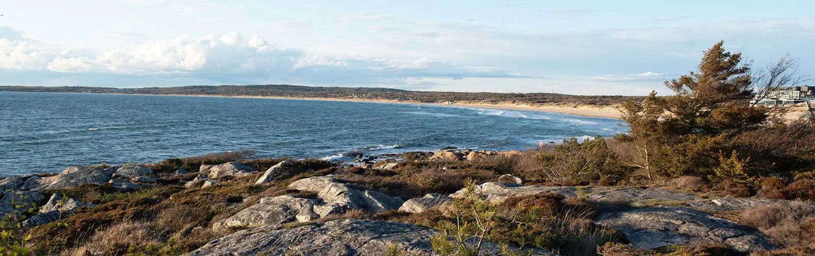 À propos de NIBE