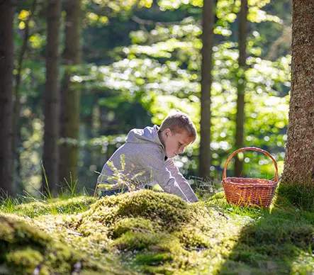 Pörssisähköohjaus ja NIBETURVA