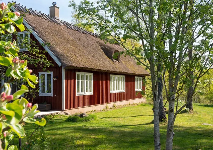 Red House with white corners